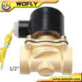 2w-160-15 1/2 inch brass water solenoid valve with timer for irrigation AC220v/110v/24v DC24v/12v normally closed